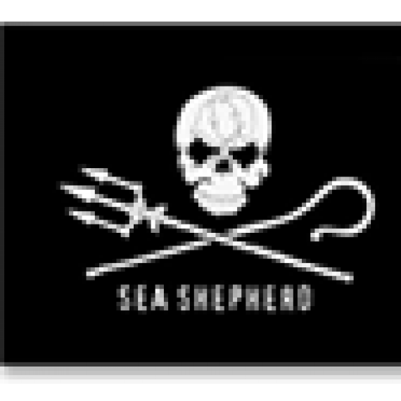 sea shepherd